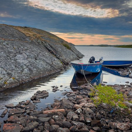Muskox Photography Tour - photo 0