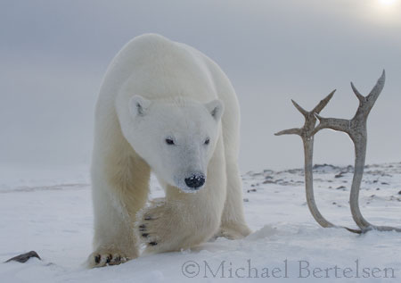 photo tours canada